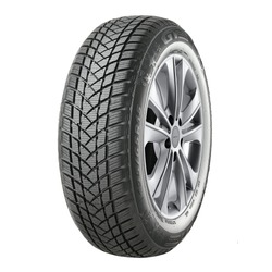 GT Radial WinterPro2